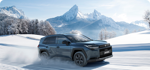 SNOW MODE